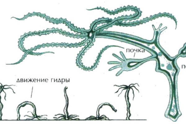 Сайт тор кракен