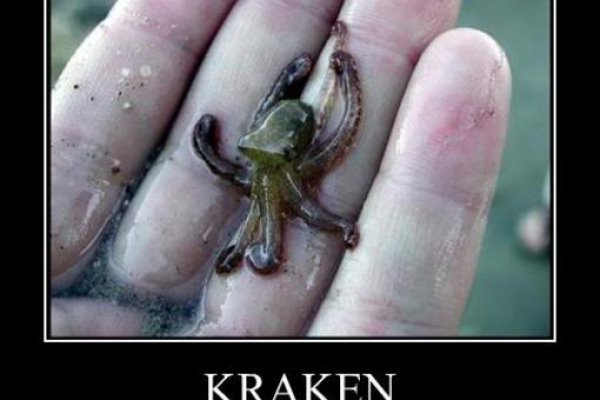 Kraken darknet kraken darknet 2n com